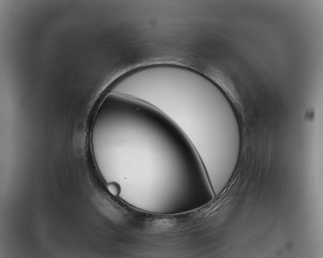 X0000100420156200806060956