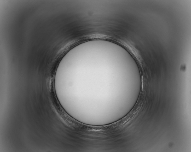 X0000100420157200806060956