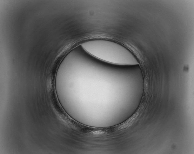 X0000100420158200806060956
