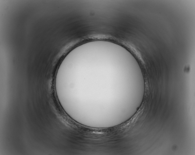 X0000100420159200806060956