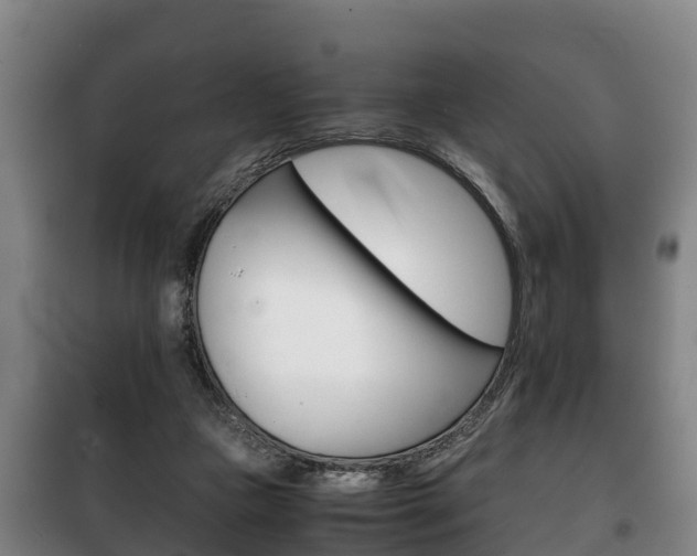 X0000100420161200806060956