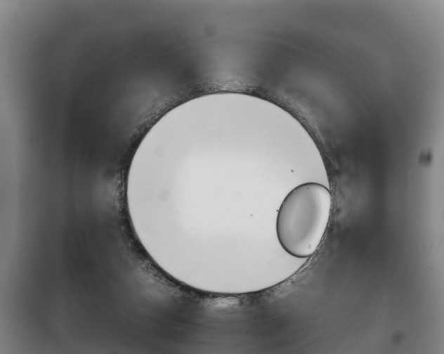 X0000100420162200806060956
