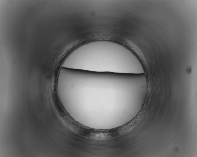 X0000100420163200806060956