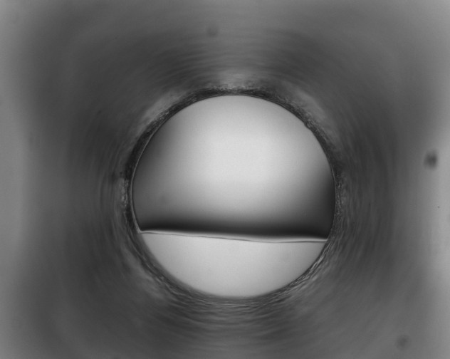 X0000100420164200806060956