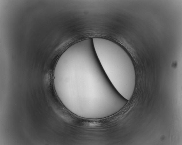 X0000100420165200806060956