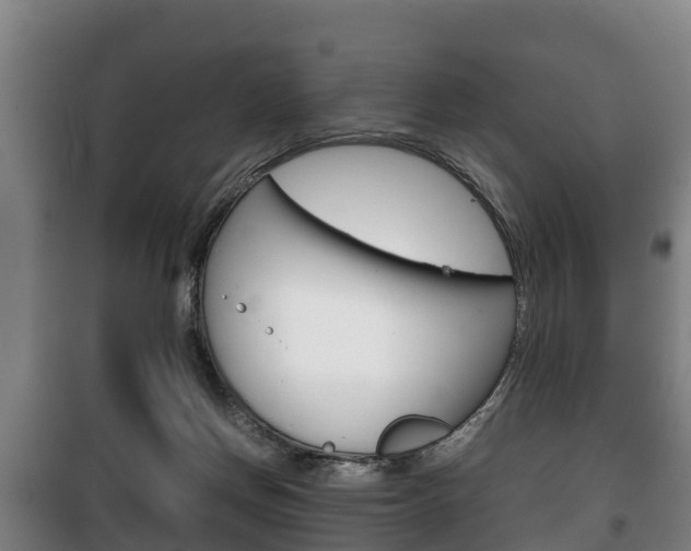 X0000100420166200806060956