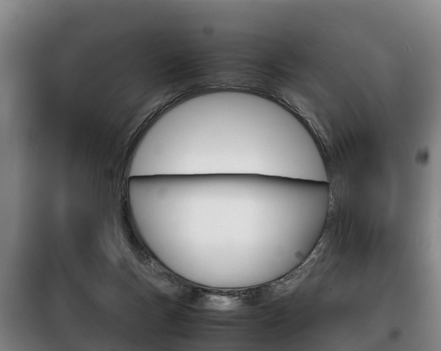 X0000100420167200806060956