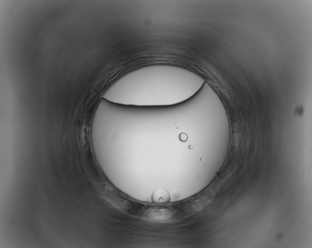 X0000100420169200806060956