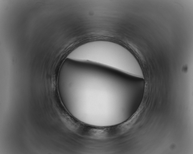 X0000100420170200806060956