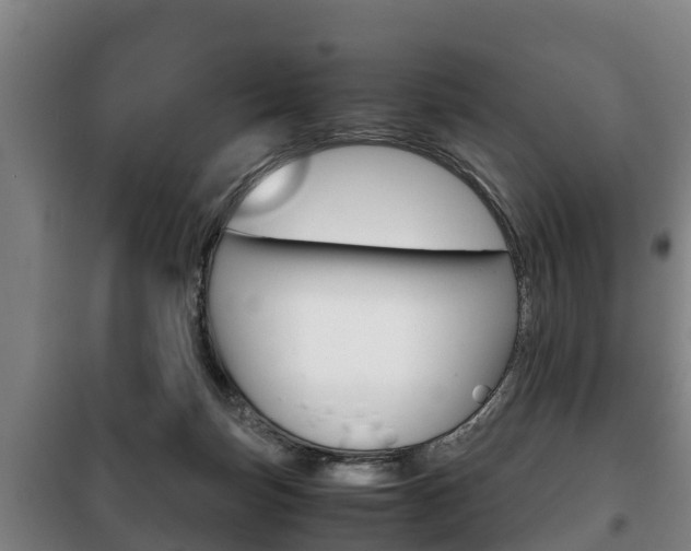 X0000100420171200806060956
