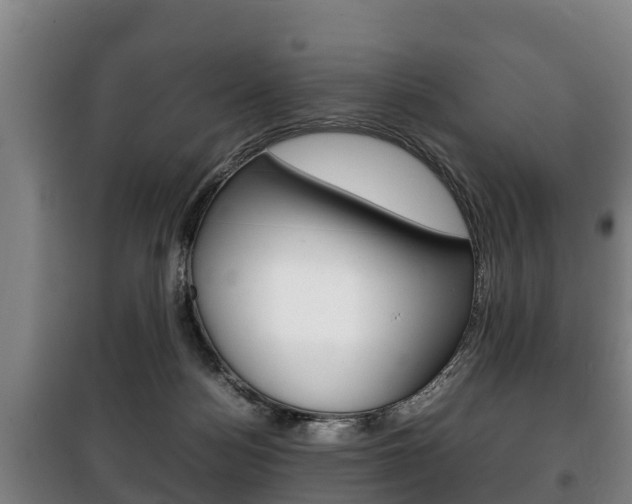 X0000100420172200806060956