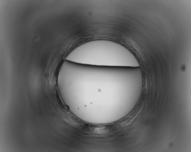 X0000100420173200806060956