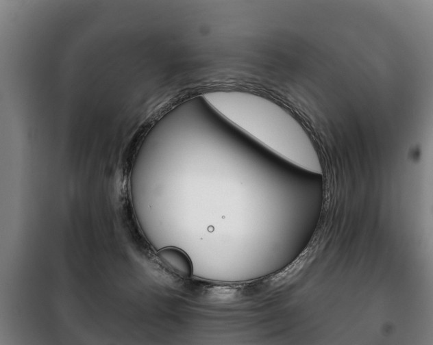 X0000100420176200806060957