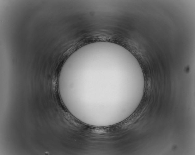X0000100420177200806060957