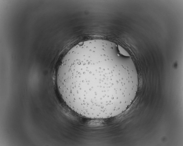 X0000100420179200806060957