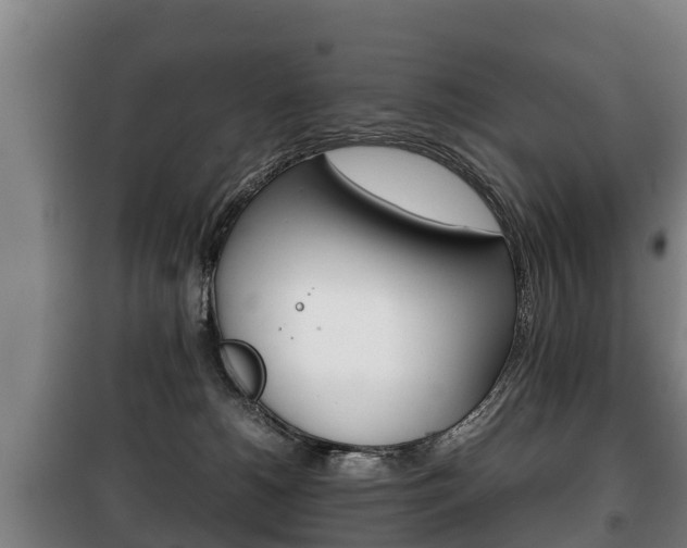 X0000100420180200806060957