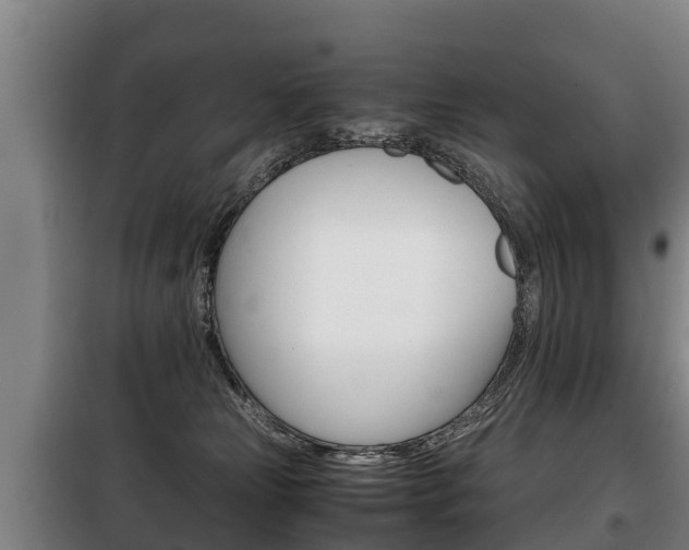 X0000100420181200806060957