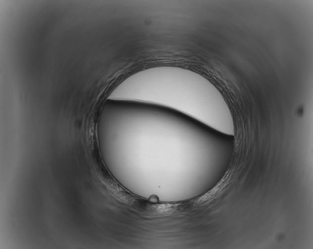 X0000100420184200806060957