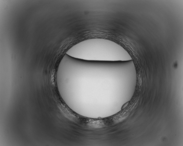 X0000100420185200806060957