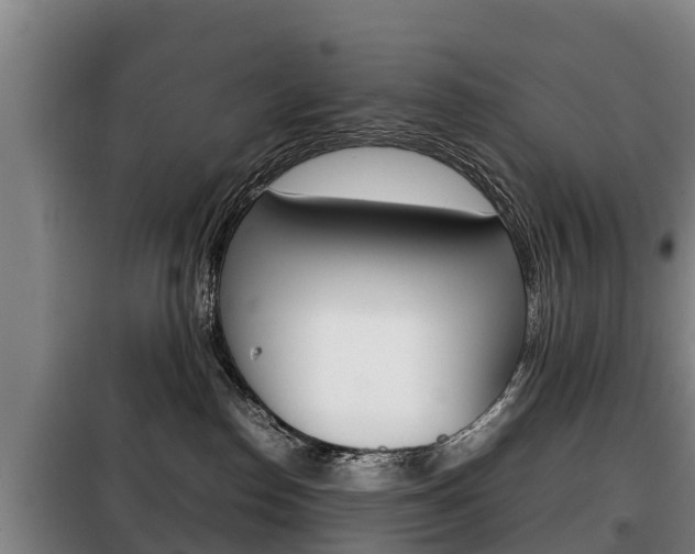X0000100420186200806060957
