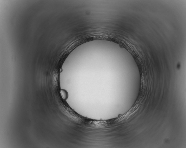 X0000100420188200806060957