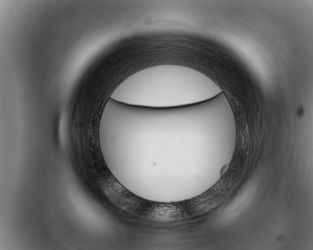 X0000100420189200806060957