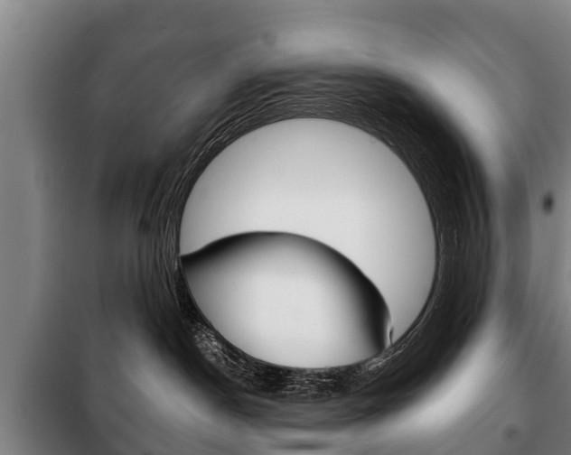 X0000100420190200806060957