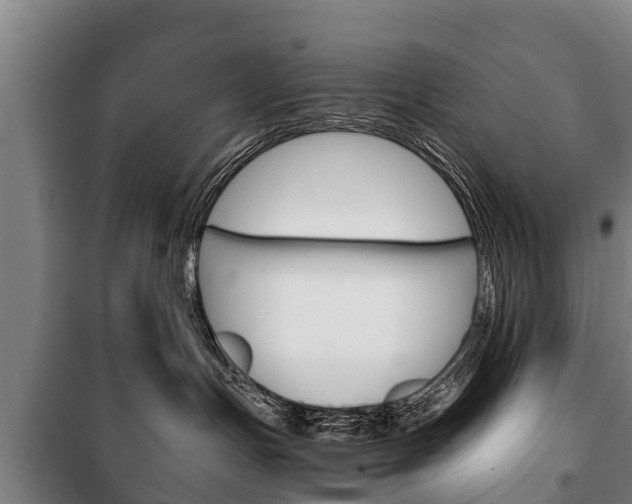 X0000100420191200806060957