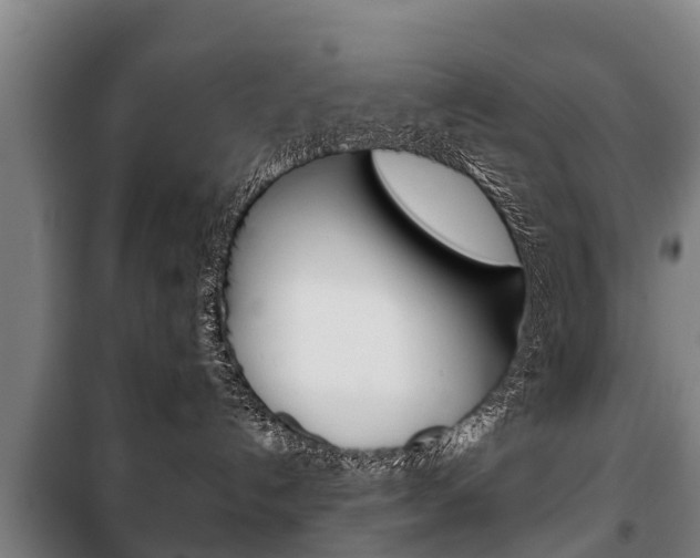 X0000100420192200806060957
