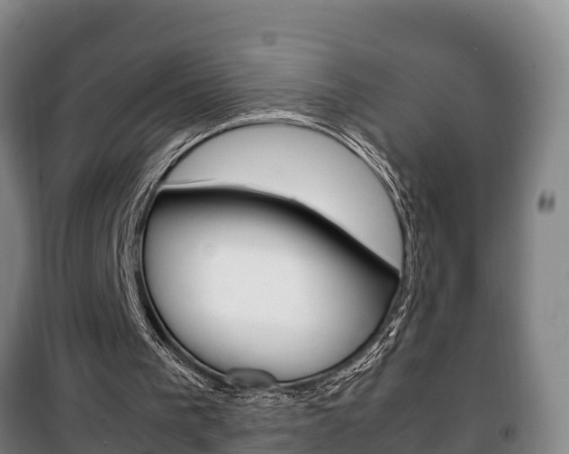 X0000100420193200806060956