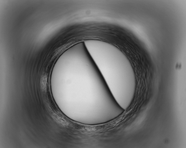 X0000100420194200806060956