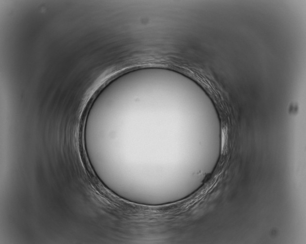 X0000100420195200806060956