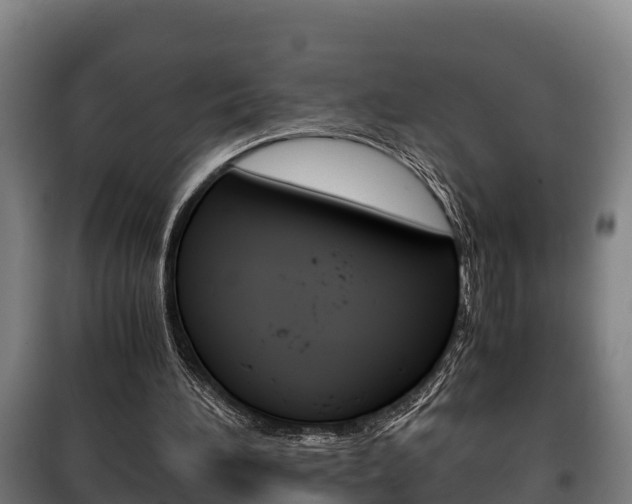 X0000100420196200806060956