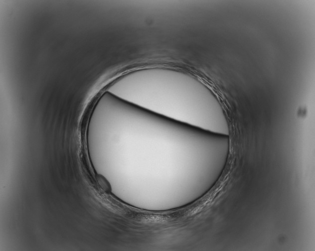 X0000100420198200806060956