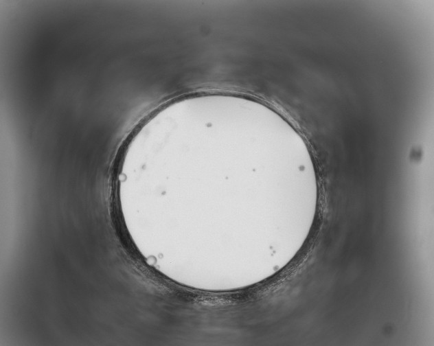 X0000100420199200806060956