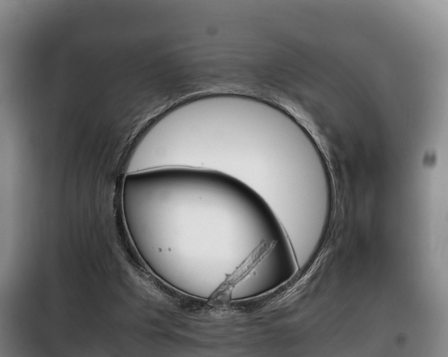 X0000100420201200806060956