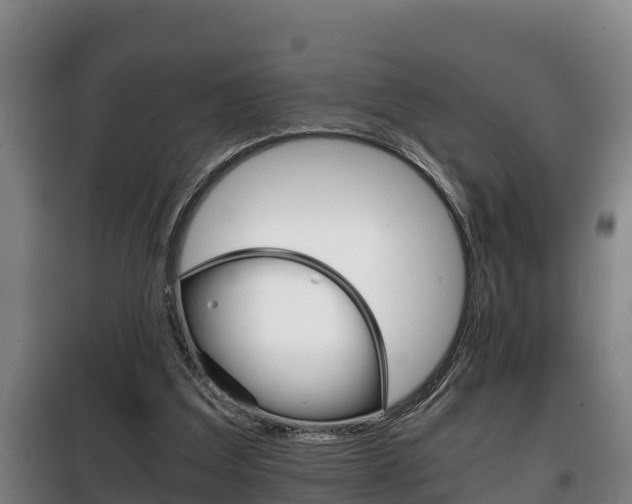 X0000100420203200806060956