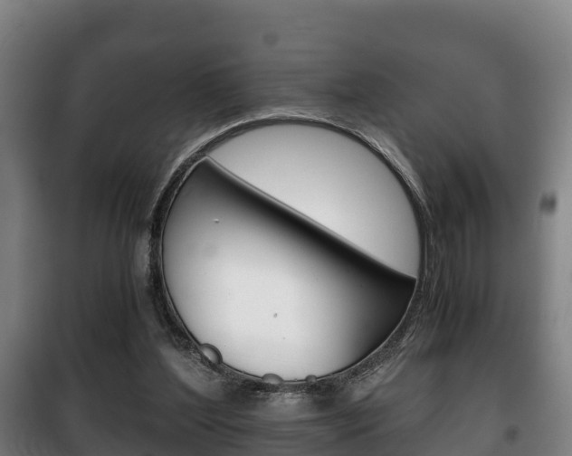 X0000100420204200806060956