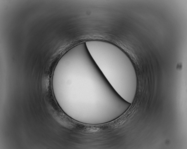 X0000100420206200806060956