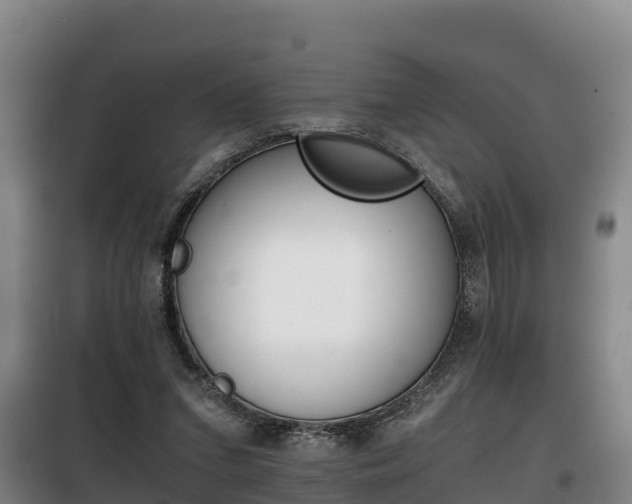 X0000100420207200806060956
