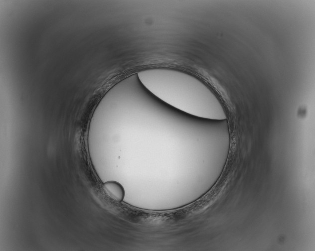 X0000100420209200806060956