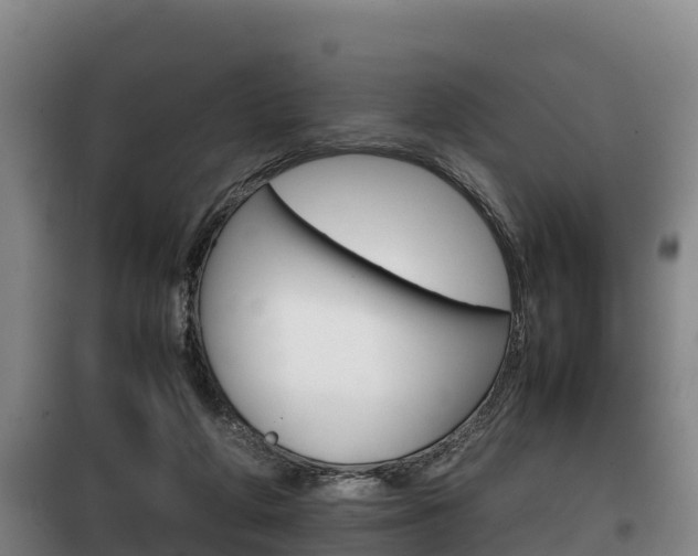 X0000100420210200806060956