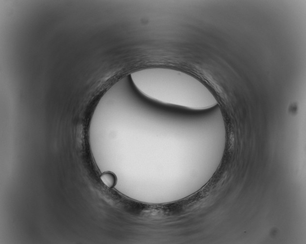 X0000100420211200806060956