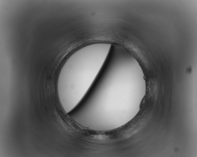 X0000100420212200806060956