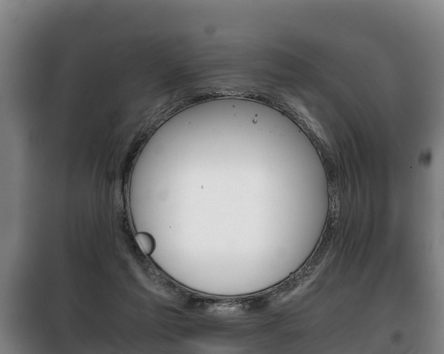 X0000100420213200806060956