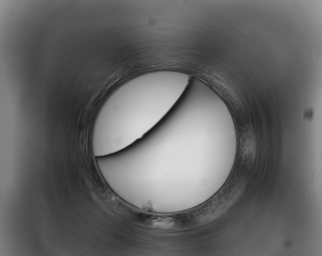 X0000100420214200806060956
