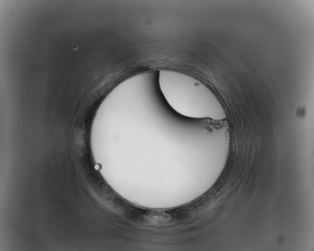 X0000100420215200806060956