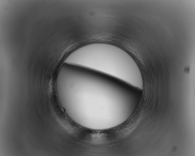 X0000100420216200806060956