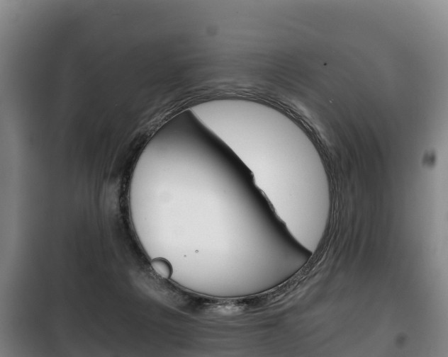 X0000100420217200806060956
