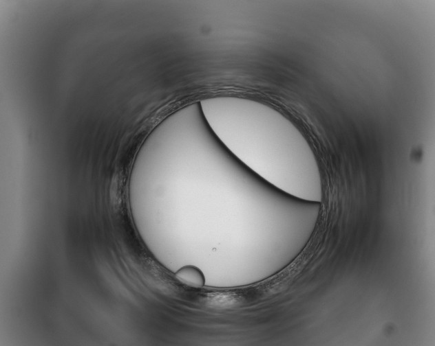 X0000100420218200806060956